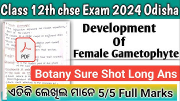 Development Of Female Gametophyte Long Question Answer In odia||Chse Botany Selection 2024