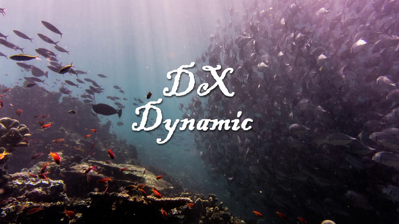 Clasio What Am I Doing Wrong (feat Rosenfeld) (DX Dynamic) YouTube
