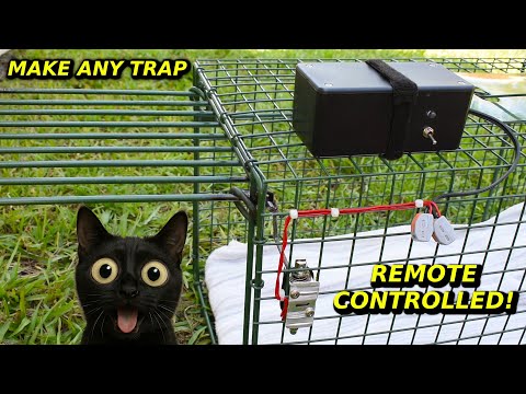 Diy Remote Control Triggered Animal Trap ~ Cat & Kitten Tnr