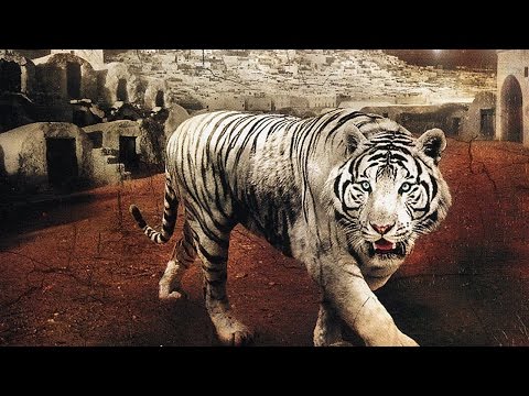 Ranker Video