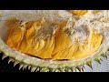 Penang Durian vs Cheese