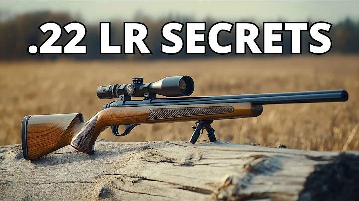 The Shocking Truth About .22 LR Rifles You Have Never Heard Before!