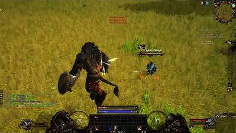 WoW Classic - Warrior Hardcore - Snagglespear Calculated