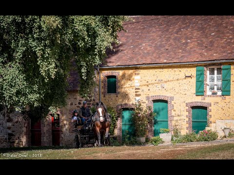 De Senonches à Moutiers-au-Perche 25 k