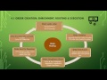 Front Office - Order Management System - Video 4