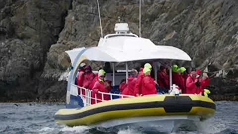 Bruny Island Cruise