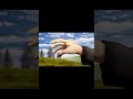 أفضل لقطه من الجزء الثاني من أنمي لا تنسا الاشتراك Vinland انمي Vinlandsaga 