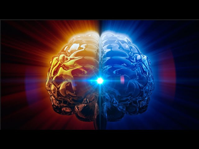 Dawson Church: "Mind to Matter" and the Mind/Body Connection | Electricity of Life