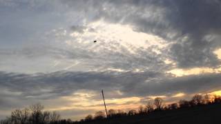Nutball Gliding In