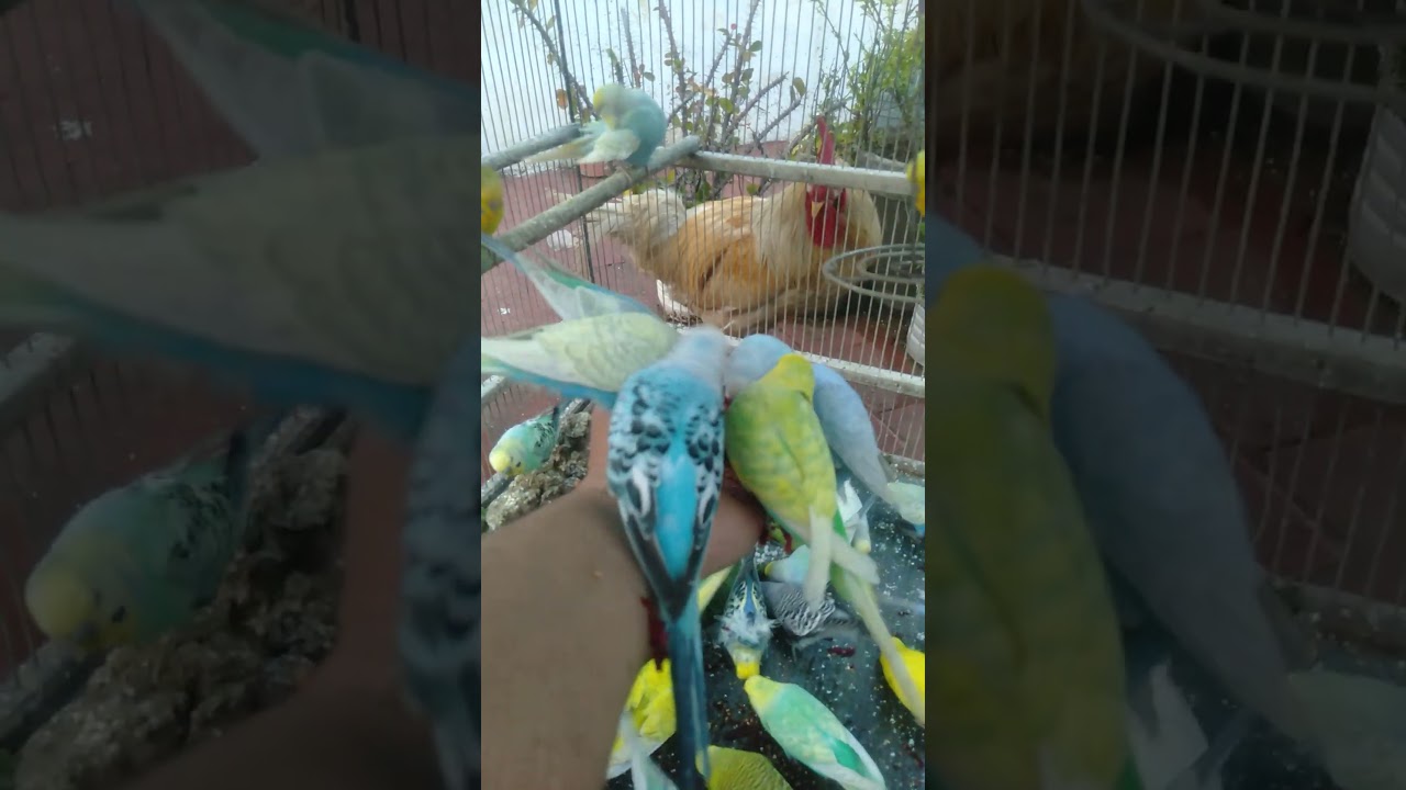 Warum beschleunigt sich alles hier Heftig sofort