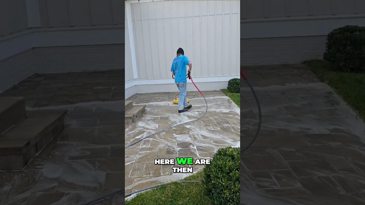 Patio Cleaning: Organic Growth Gone, Pavers Restored! 