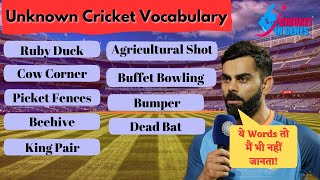 RARELY USED TERMS IN CRICKET | CRICKET VOCABULARY | CRICKETING TERMS | TERMS/WORDS IN CRICKET | GK screenshot 5