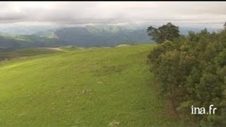 Swaziland : agriculture de montagne