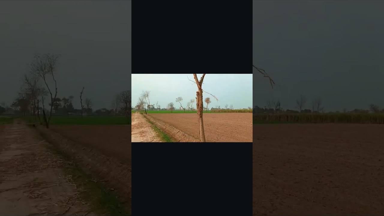 Village Beauty Part#1 #likesharesubscribe 👍