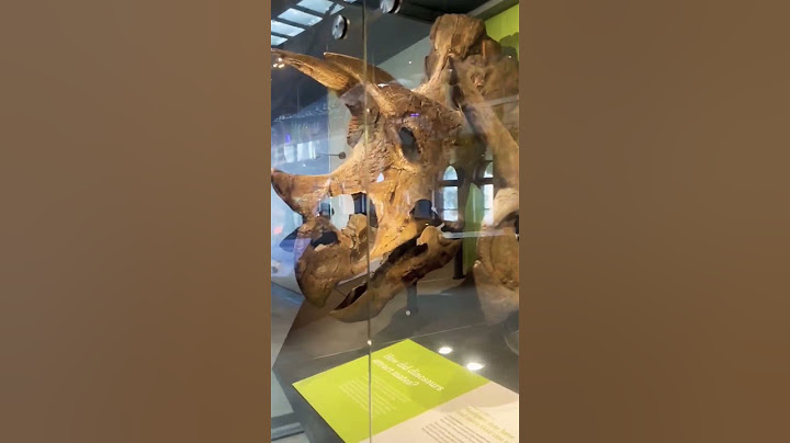A place to visit in California. Natural History Museum of Los Angeles County #usa #california #tour