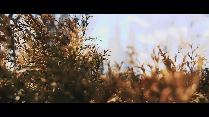 First Look Video