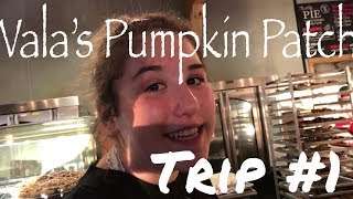Vala's Pumpkin Patch Trip #1|| Catelyn Rodenbiker