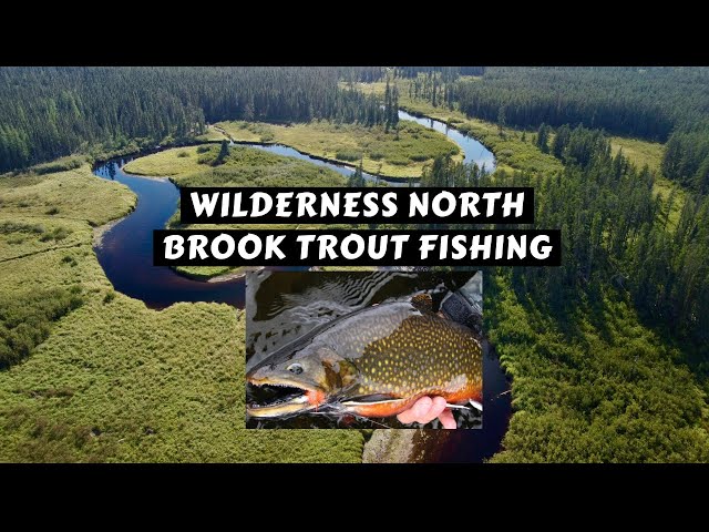 Wilderness Brook Trout by Canoe