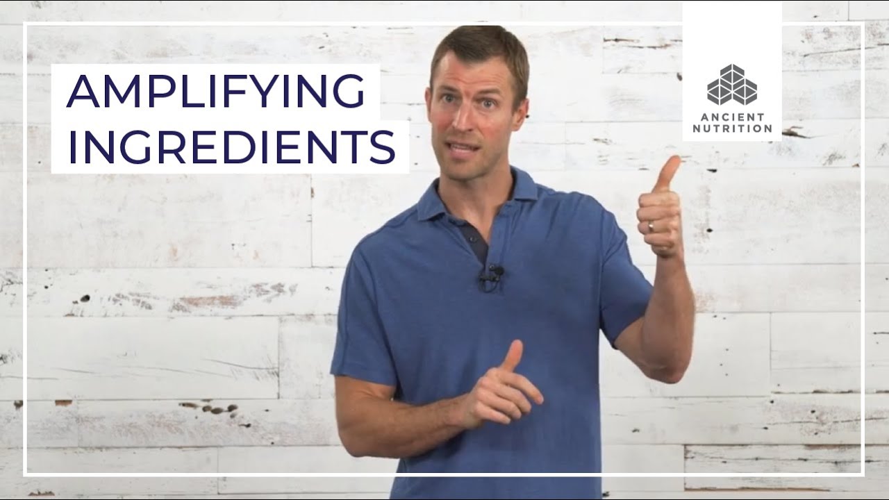 The Importance of Amplifying Ingredients | Ancient Nutrition - YouTube