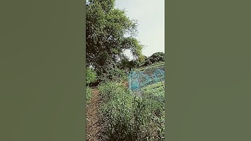 * To Akhi Mo Aaina, Odia Film Romantic Song ( Gori Jhumuru Jhumuru Tora Pada Paunji), Siddhant,Jyoti