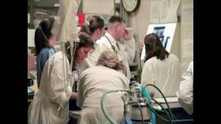 College Tour - Part 4/5 - Small Animal Hospital