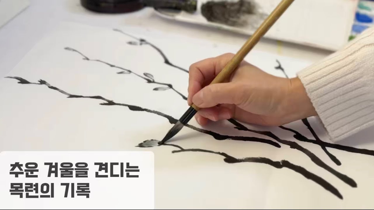 추운 겨울을 견디는 목련의 기록