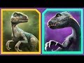 BLUE Vs INDORAPTOR - Jurassic World Alive