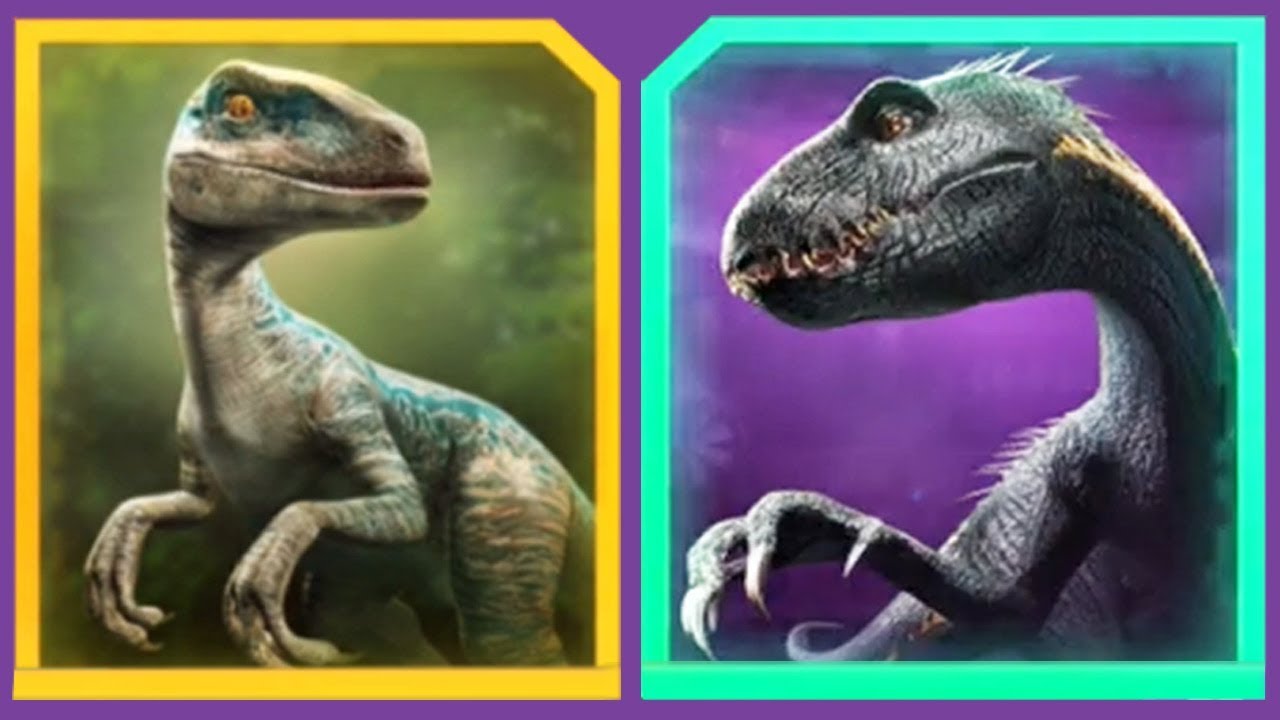 Blue Vs Indoraptor Jurassic World Alive Youtube 