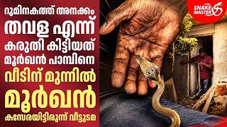 EP 63 | വീടിന് മുന്നിൽ മൂർഖൻ കസേരയിട്ടിരുന്ന് വീട്ടുടമ |  Cobra in front of the house | Snakemaster