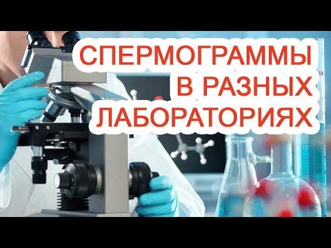 Спермограммы в разных лабораториях / Доктор Черепанов