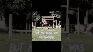 Download Lagu POV: Your horse has great striding but you physically weren’t prepared for the height🥲 #shorts #fyp MP3