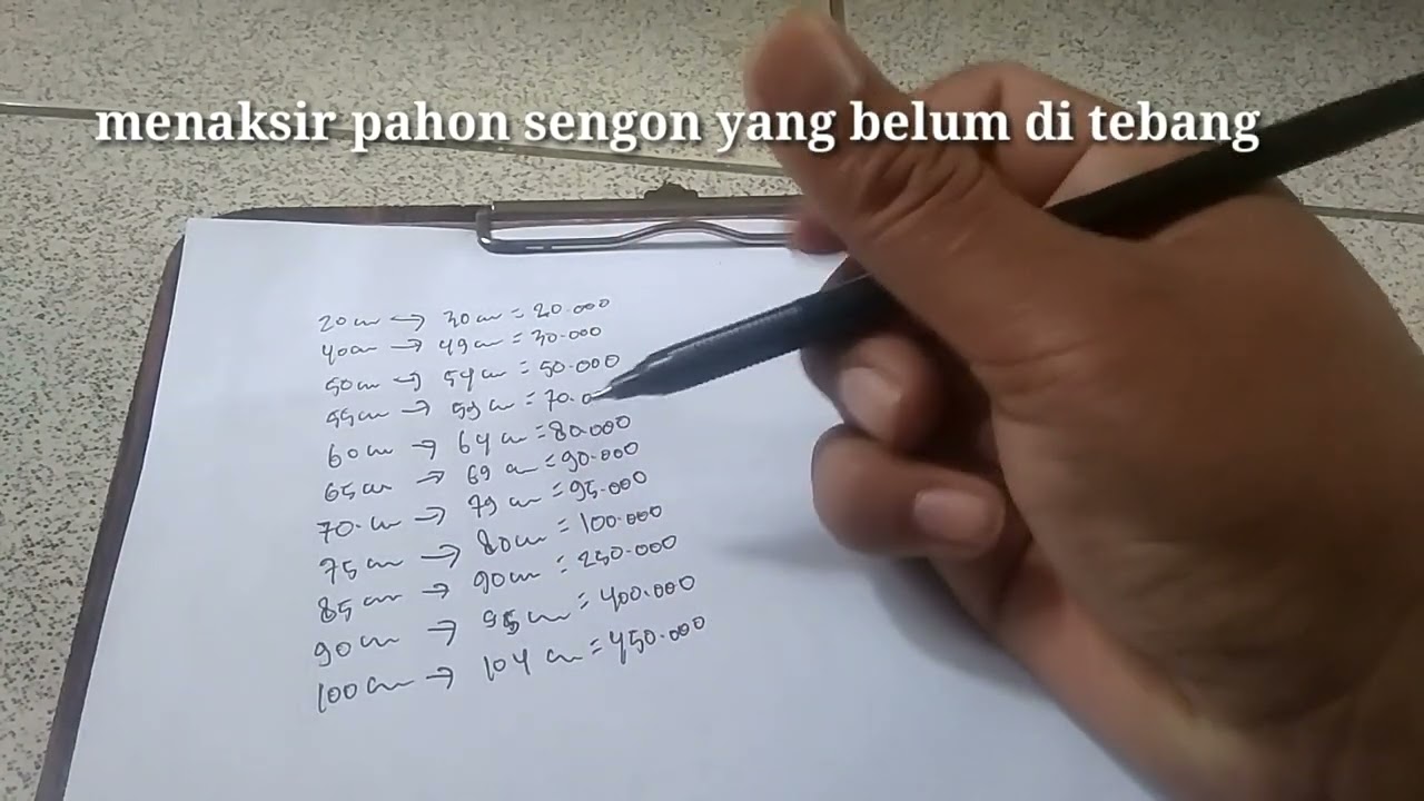 Menaksir harga Pohon albasia, Sesuai Dengan Ukuran Lilitan Diameter di kala harga kayu anjlok