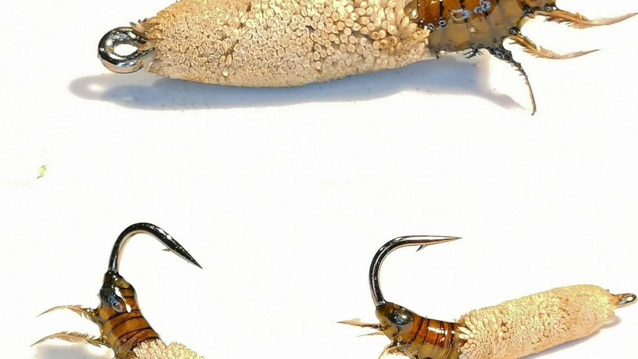 Deerhair cased caddis