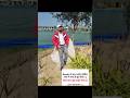 Result #viral #instagram #instagood #trending #reels #viral #fbreels #fbreelsvideo #shortsviral