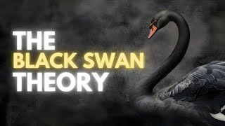 The Black Swan Theory | What You Need to Know!