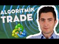 Algoritmik Trade Metatrader ||Toplam Pozisyon