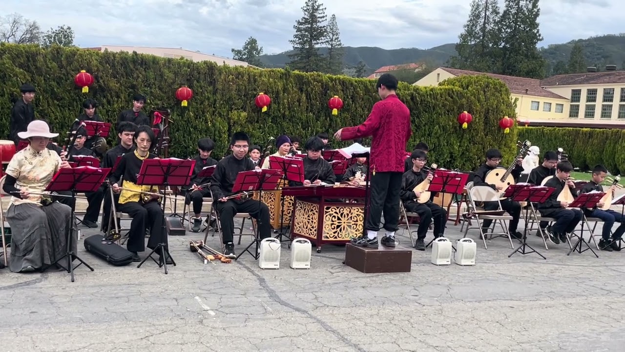 金蛇狂舞Golden Snake Ruptuos Dance