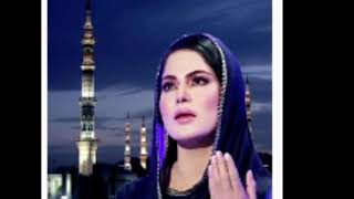 New Naat Shah e Madina  naat beautifully screenshot 3