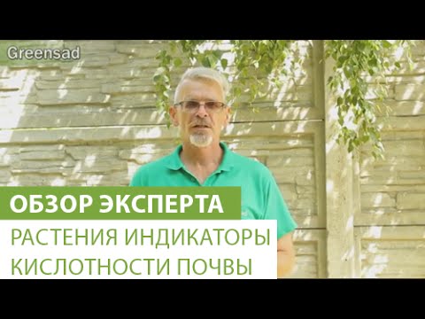 Растения индикаторы кислотности почвы