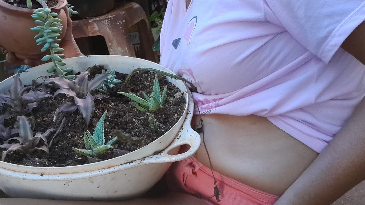 mais um vídeo no canal pra vocês deplntasa