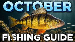 Are You Using the Wrong Yellow Perch Bait? October Fishing screenshot 2
