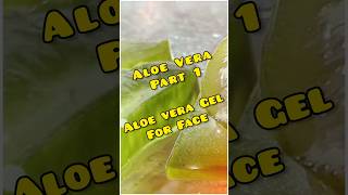 Aloe Vera Gel Part 1 apply at Home for use on Face Mask How to make Hair Growth Pack Juice ke Fayde