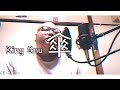 傘 / King Gnu【歌ってみた】