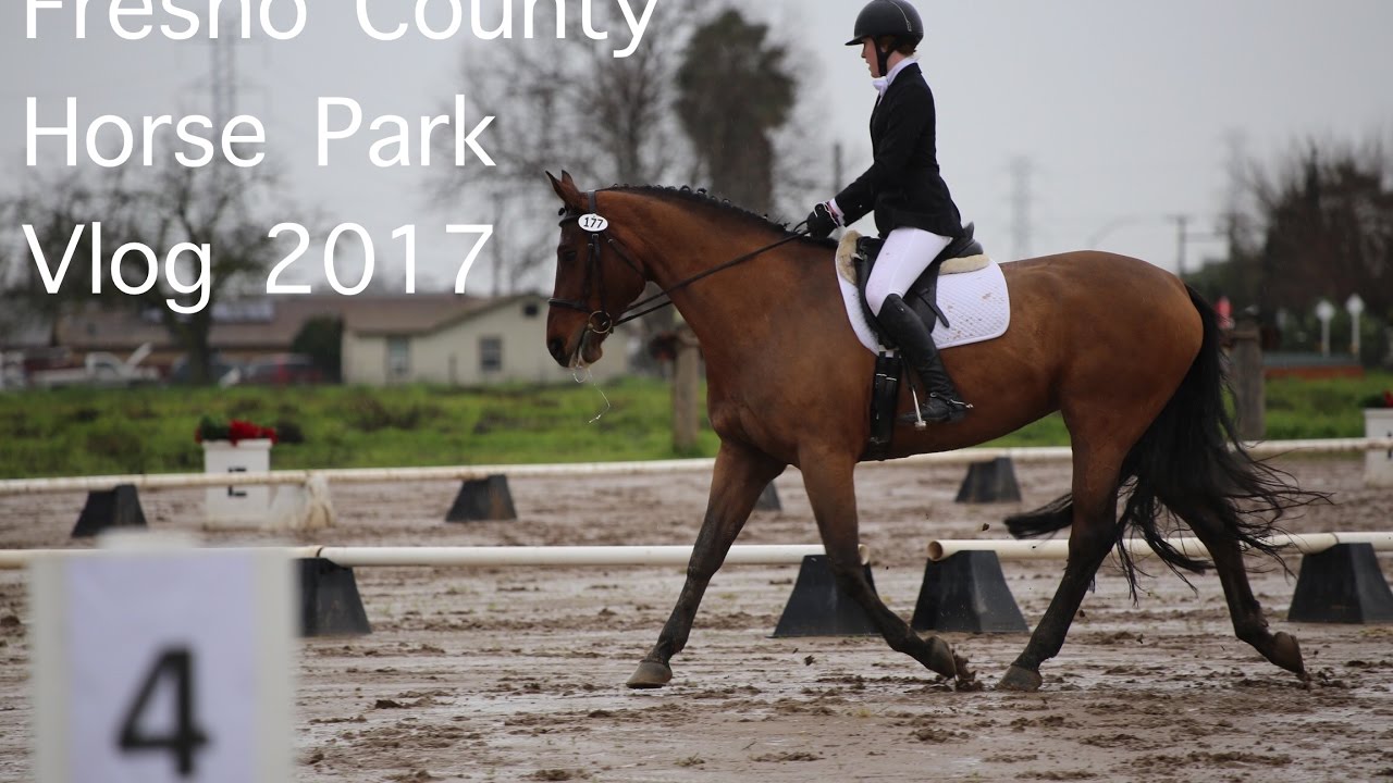 Fresno County Horse Park VLOG YouTube