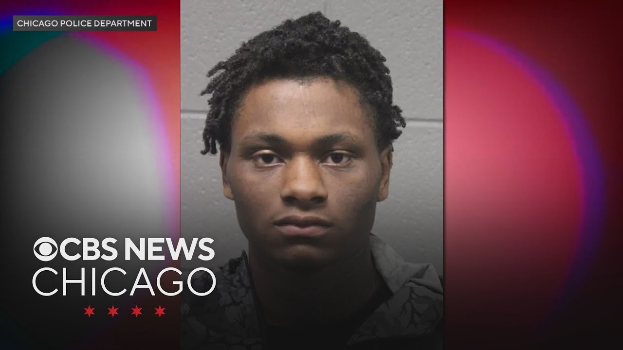 Man accused of ramming 5 Chicago police officers with car to remain in ...