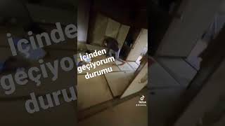 Mahmut Abee Kapının Içinden Geçiyorum Ğlence I Çan 