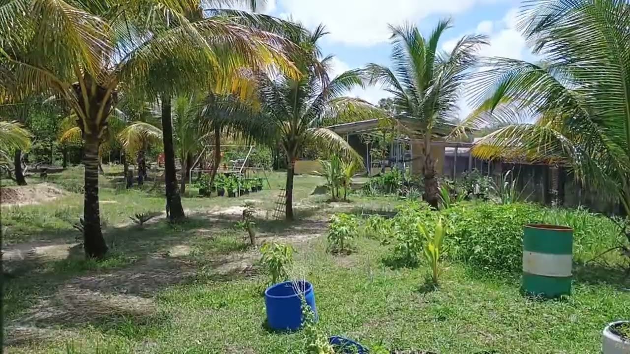 Pillar2Post jah garden horizontal live test