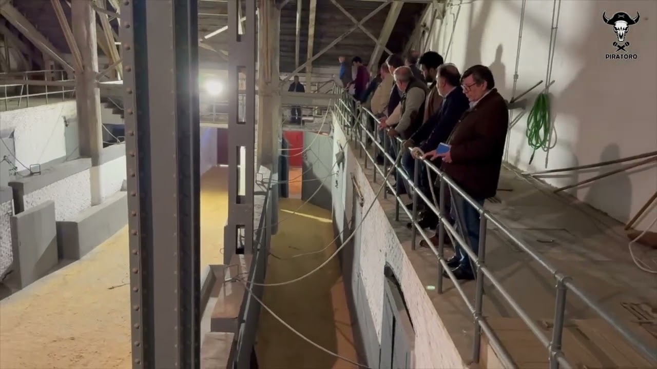 La manga de chiqueros de la Plaza de Las Ventas: Feria San Isidro 2025