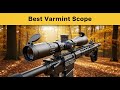 4 Best Varmint Scope in 2025