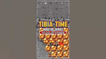Tibia Time Boosted Series: Valkyrie! #tibia #gaming #mmorpg #shorts